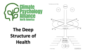 “The Deep Structure of Health”