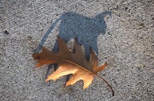 Class Notes, Nov-Dec 2025